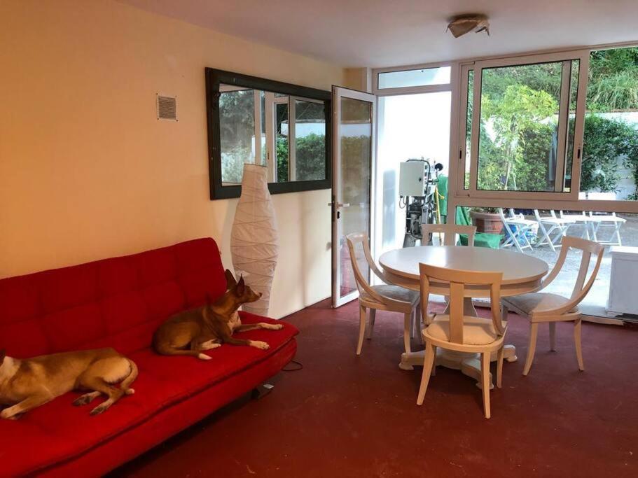Apartamento Abierto Con Patio Matadepera Екстериор снимка